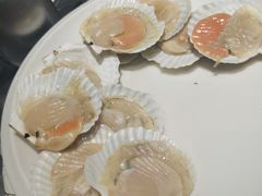 蒜蓉扇贝-大渔·观筵(三里屯太古里店)