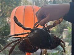 -Ministry of Crab•MOC(交子大道店)