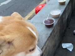 -钟姨糖水(惠城店)