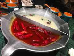 -麻田会 ·鲜活现烹·牛蛙火锅(珠江新城维家思广场店)