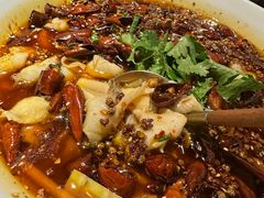 -铁公鸡·四川料理(天环广场店)