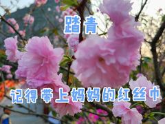 -南溪山景区