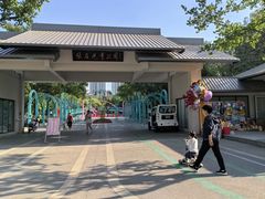 -张店儿童公园