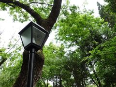-颐和路民国时期公馆风貌区