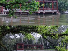 -西湖公园(鼓楼区)