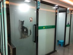 -半岛宠物医院24小时(科华中路店)