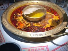 -新哥老官·畅吃123·美蛙世界(苏宁广场店)