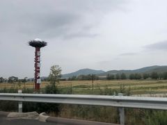 -张北坝上草原