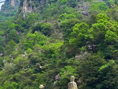 -天台山琼台仙谷景区