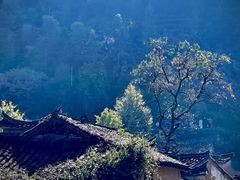 -杨家堂村