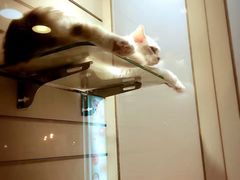 -尊爵天际大饭店 (近台茂)