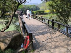 -八卦田遗址公园