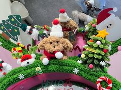 -有喵·猫咖·狗咖·30几只猫10只小狗(岗厦店)