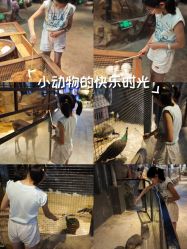 -酷嗒动物文化乐园(cutezoo西溪乐天城店)