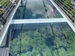 -客天下恐龙水晶玻璃桥