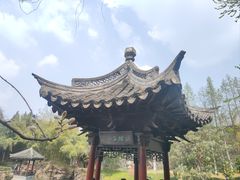 -水绘园