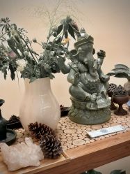 -阿南达·瑜伽普拉提·阿育吠陀疗愈中心