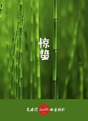 -艾米丽儿童摄影