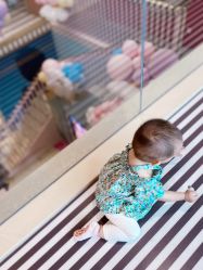 -MELAND CLUB亲子乐园·派对·餐厅(北京芳圆里ID MALL店)