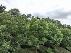 -九华山公园
