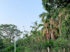 -荔香公园