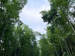 -洪霞餐馆