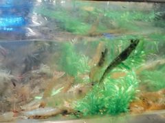 -V-ONE西雅图海鲜自助餐厅(仓山万达广场店)