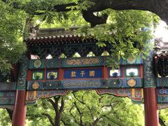 -北京国子监胡同
