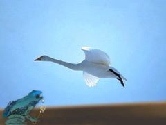 -船家渔(徐州北路店)