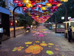 -武夷山旧街壹号溪岸旅馆(三姑度假区店)