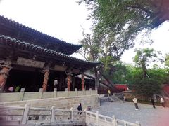 -晋祠公园