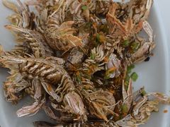 -常家活海鲜小吃(仅一家无分店)