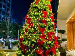 -翠贝卡&Mama Kelly Brunch Coffee(河西店)