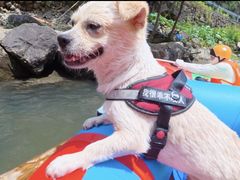 -安吉龙王山峡谷漂流