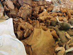 -洪记白水羊头(天坛店)