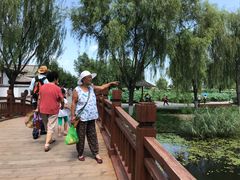 -白洋淀景区