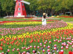 -洛阳郁金香牡丹园