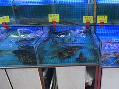 -鼓歌海鲜舫·手抓海鲜(大学城店)