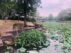 -江南大学(蠡湖校区)