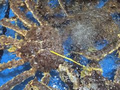 -盒马鲜生(馥邦国际店)