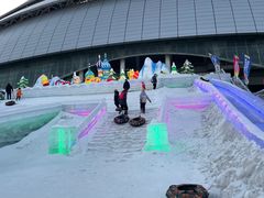 -沈阳奥体冰雪嘉年华