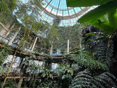 -昆明植物园