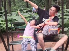 -洛阳白云山景区