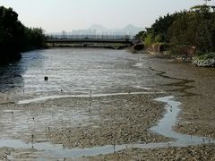 -福田红树林生态公园