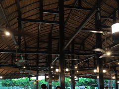 -渔家火锅·海鲜自助餐·演艺(亚龙湾天域酒店)