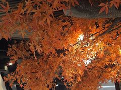 -花间别院(凤凰店)