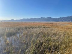 -野鸭湖国家湿地公园