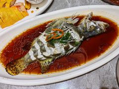 -老绍兴养和饭店(向阳不夜城店)