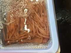 -都斛海鲜街