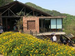 -远山有窑